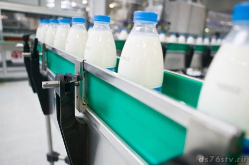 На Дону расширяется сеть производителей молока