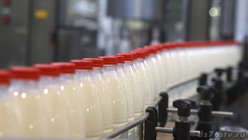 На Дону расширяется сеть производителей молока